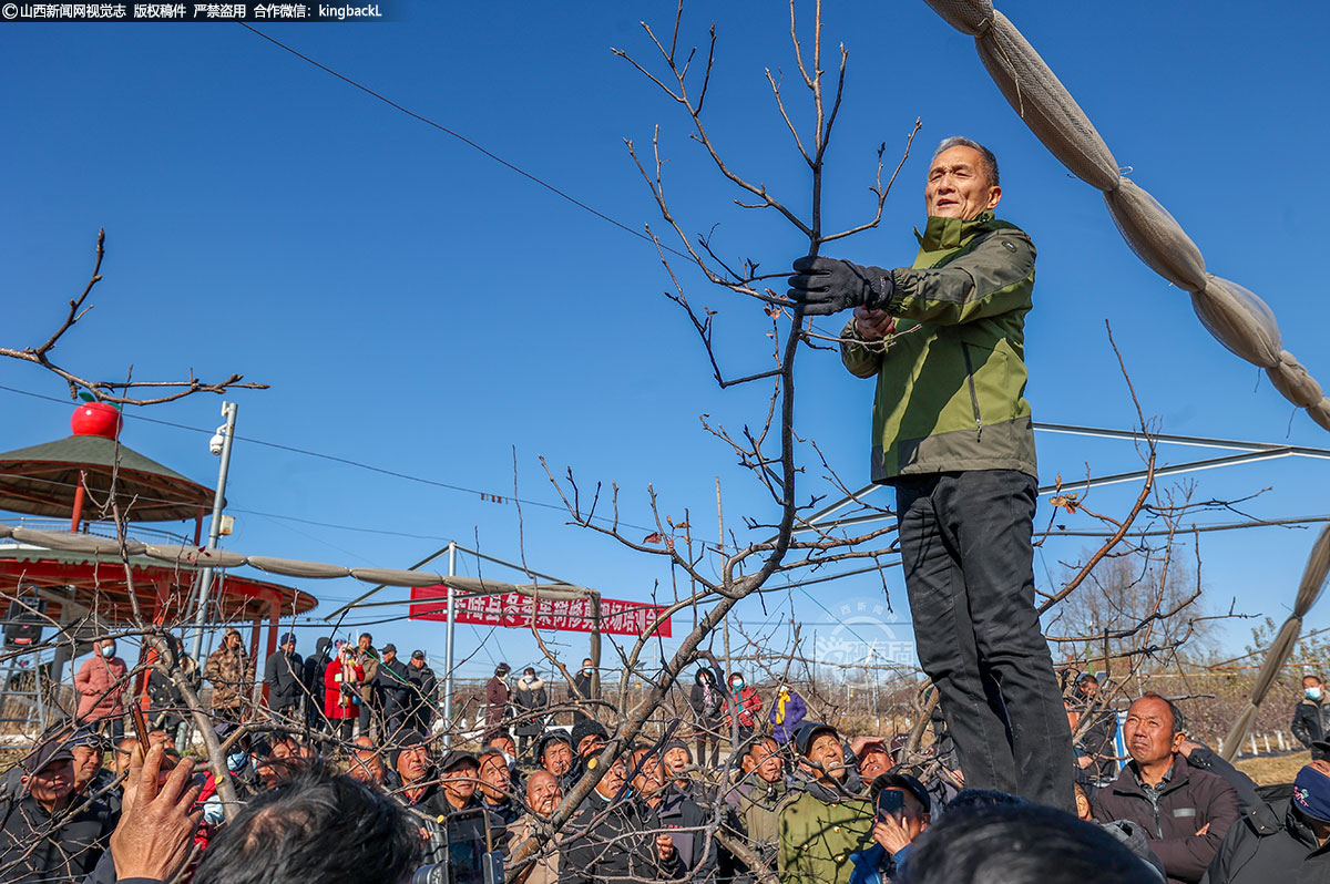      此次培训不仅提高了果农的技术水平，也为平陆县的水果产业注入了新的活力。通过科学化的管理，果农们将能够更好地保障水果的品质和产量，进一步促进当地经济的发展。