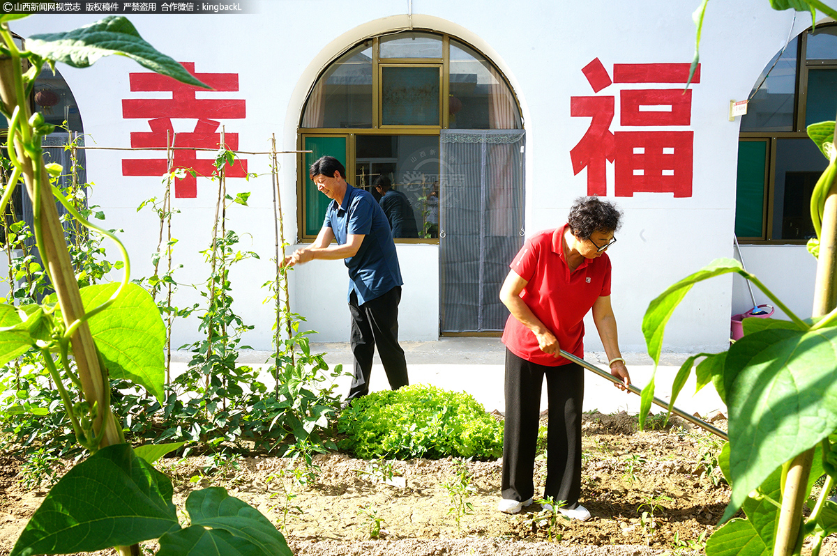      2023年6月27日，山西省忻州市保德县腰庄乡铺房墕村发展“庭院经济”扮靓美丽乡村。