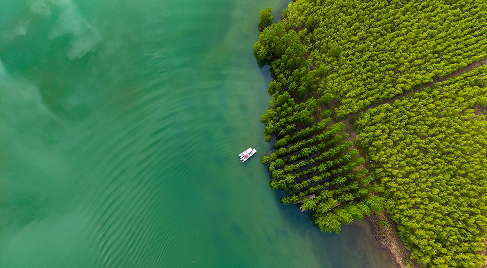 黄河湿地春日美如画