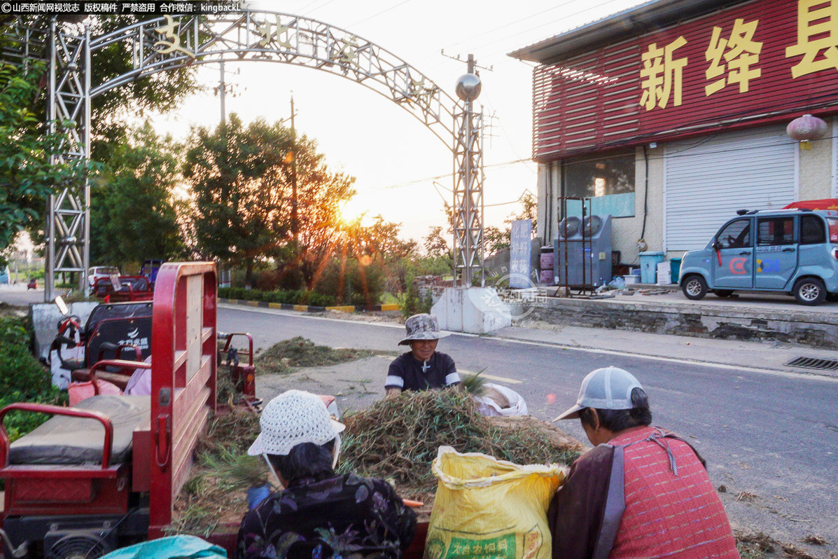      这一道道工序，不仅是对中药材品质的严格把控，更是药农们对传统技艺的传承与坚守。