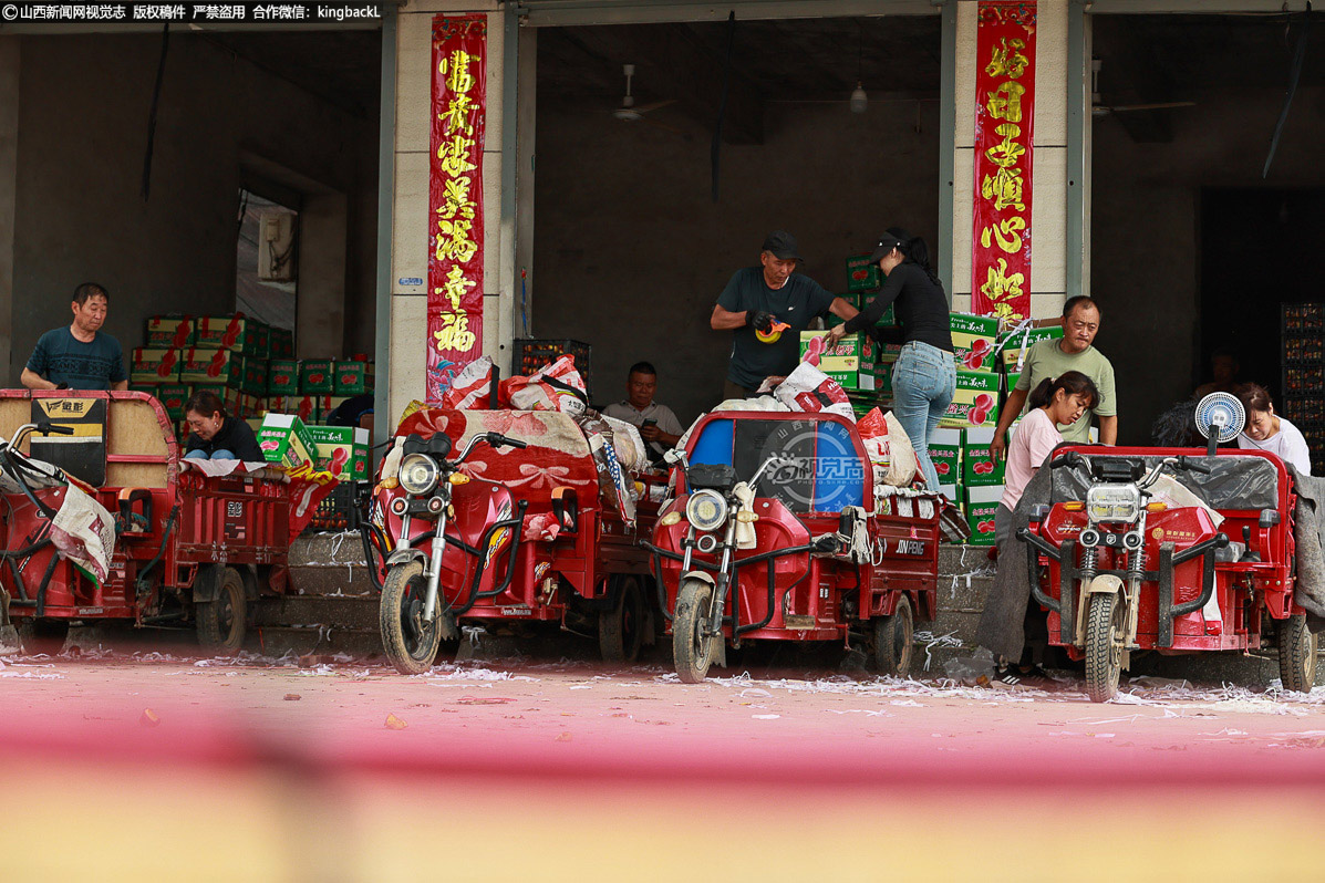      果商驻点收购车辆停驻当地，经纪人忙着对接物流，从采摘到分拣、装车的产销链条高效运转。