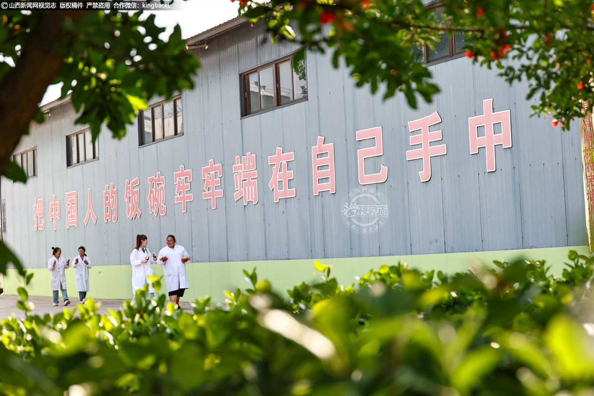      该企业数字化种子库通过智能筛选系统确保发芽率达98%以上，年加工能力超500吨，为店头村郝德娃等农户的增产提供技术支撑，这些微观数据正是 “科技种粮” 的核心注脚。