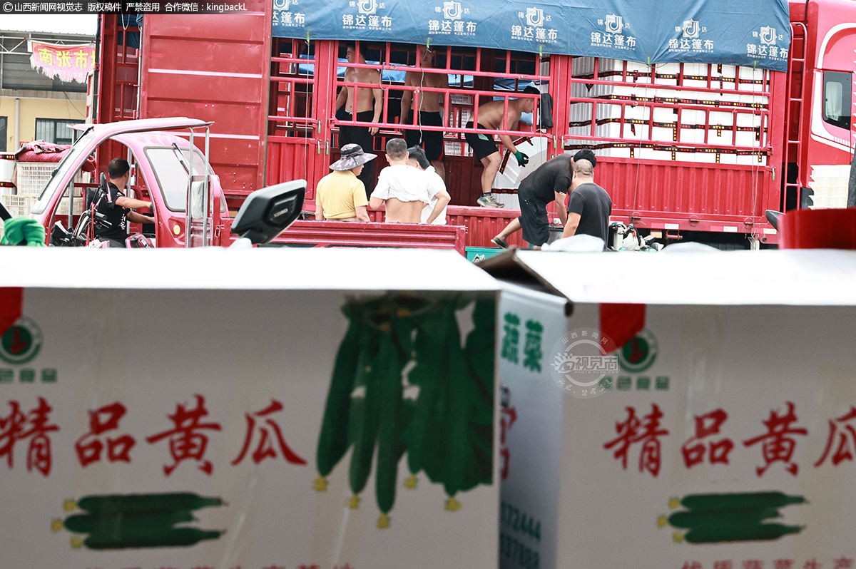      山西省运城市新绛县泉掌镇南张村蔬菜批发配送市场一片忙碌，菜农们正加紧将保鲜黄瓜等蔬菜装车，这些新鲜蔬菜将销往外地，保障市场供应。