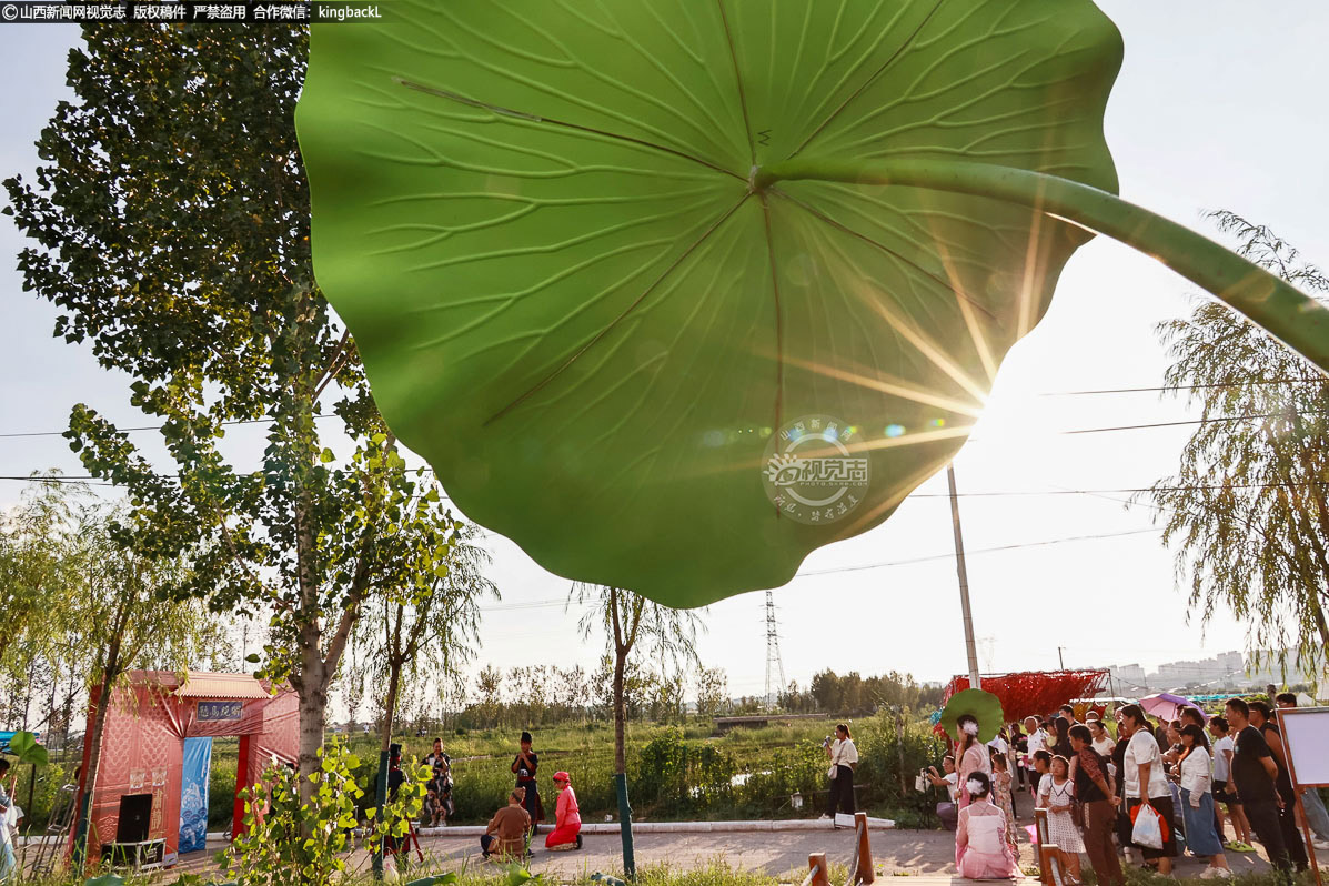      从昔日的盐碱滩到如今的“网红”景区，娄庄村以农旅融合的创新路径，让绿水青山真正成为乡村振兴的“聚宝盆”。