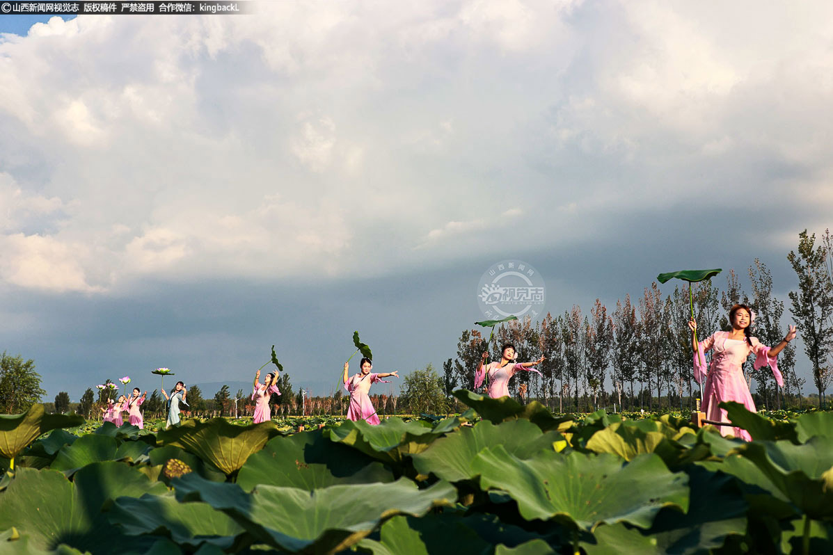      荷塘深处，“荷花仙子” 踏水而来。她们身着飘逸霓裳，在碧波荡漾的荷塘中款款游走，与盛放的荷花相映成趣，宛如一幅流动的江南水墨画，为北方稻田增添了几分柔美意境。