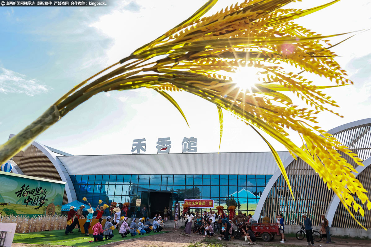      田间地头，农耕情景剧正生动上演。演员们身着传统服饰，手持稻穗演绎打稻谷的繁忙场景，弯腰、挥镰、脱粒的动作一气呵成，精准还原了丰收时节的劳作画面，让游客近距离感受农耕文化的厚重。