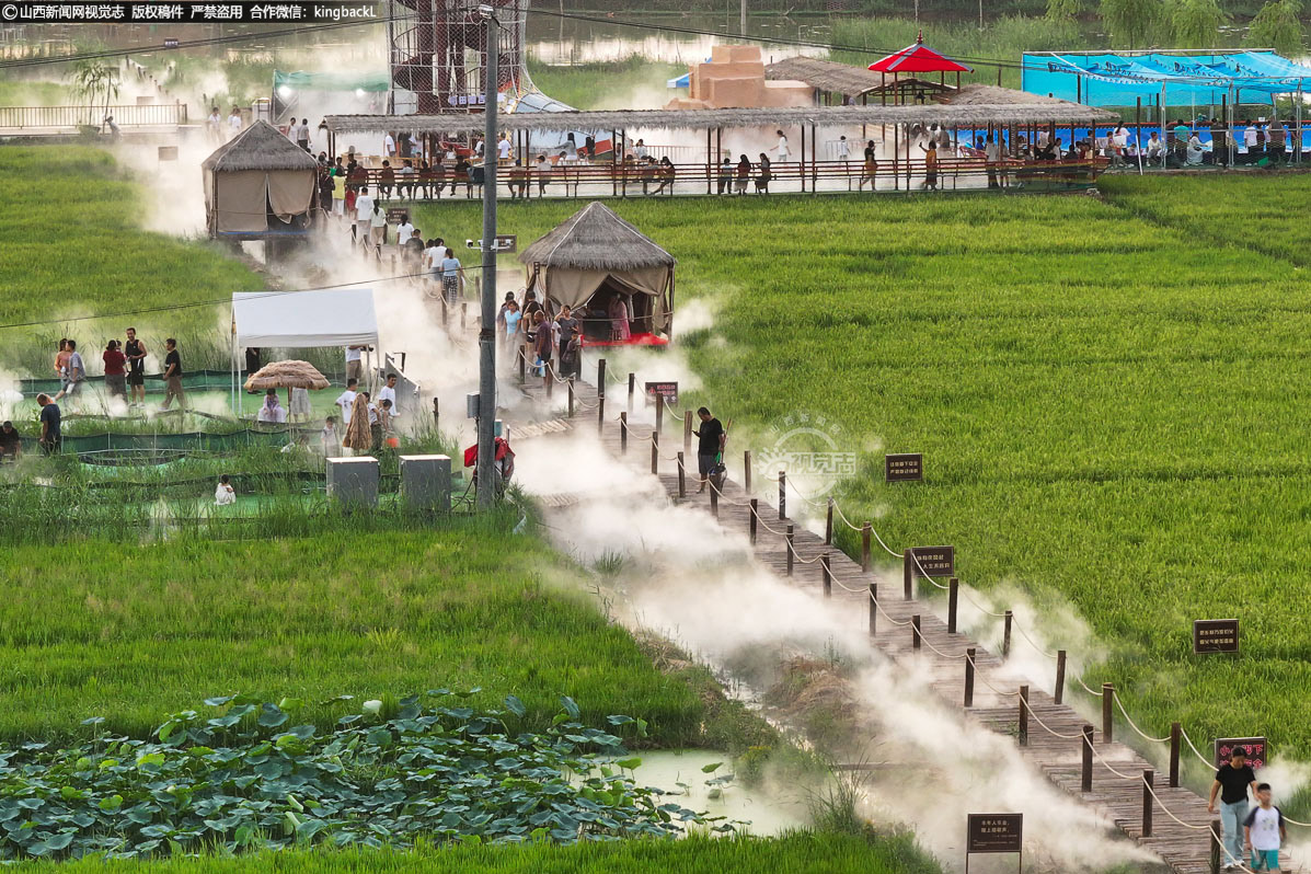      初秋的汾河岸畔，稻香与荷香交织弥漫。8月16日，新绛县龙兴镇娄庄村“水稻小镇”迎来开园第二日，这片由盐碱地改良而成的千亩稻田景区，以现代农耕体验与传统民俗文化交融的独特魅力，吸引了来自山西本地及陕西、河南的众多游客，共赴一场乡村振兴的鲜活盛宴。（■本期摄影：高新生）